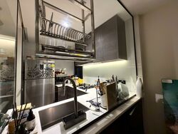 Sims Urban Oasis (D14), Condominium #590940761